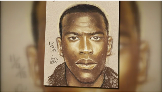 Harris County Deputies release sketch of serial purse snatching suspect.