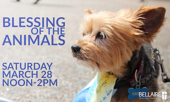 10th annual Blessing of the Animals