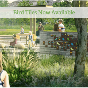 Support the growth of Evelyn’s Park with bird tiles.