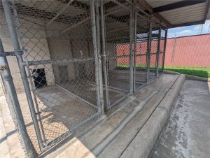 Bellaire City Council approves new Dog Pound.