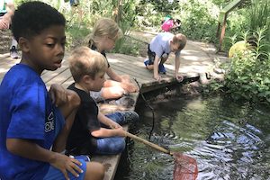 Spring Break Camp at Nature Discover Center