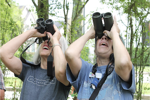 Great Backyard Bird Count