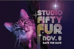 Friends For Life Studio Animal Shelter Fifty-Fur Gala