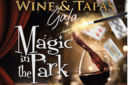 Wine and Tapas Gala