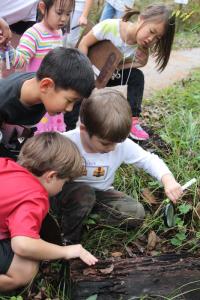 winter day camps